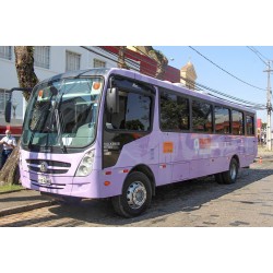 CRAS Ferraria recebe ação da campanha Agosto Lilás